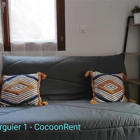 Lamourguier 1, Proche Des Halles, Wifi, Bureau Narbonne Luaran gambar